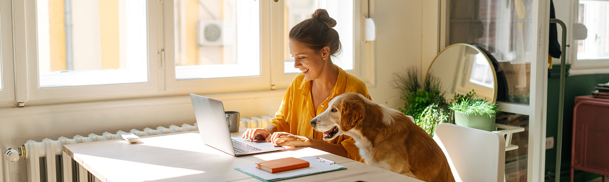 Women sitting at a laptop with her dog